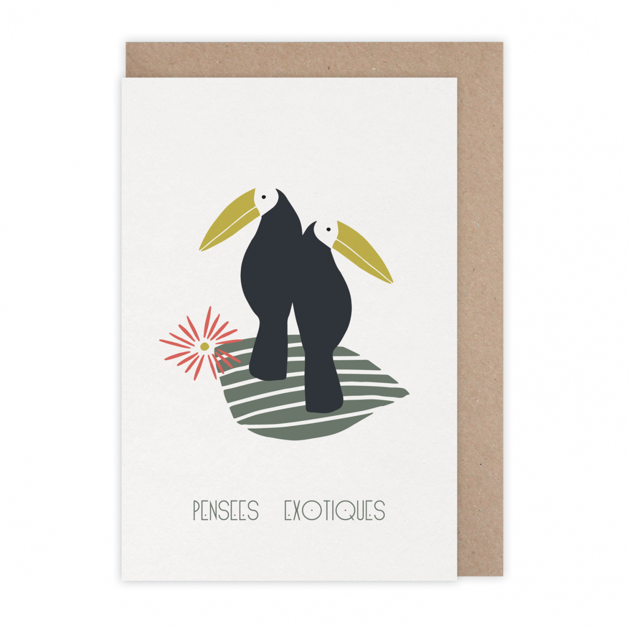 Monsieur Papier - Carte Pensées exotiques toucans