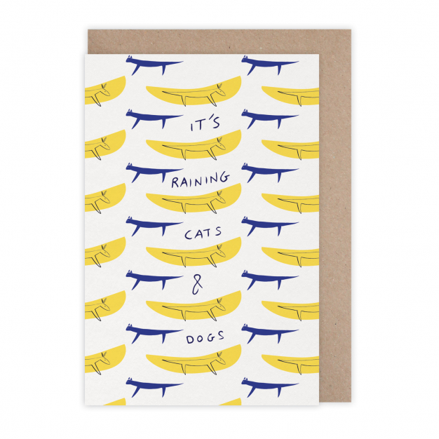 Monsieur Papier - Carte Raining cats and dogs
