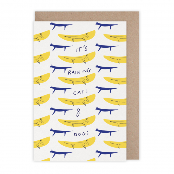 Monsieur Papier - Carte Raining cats and dogs