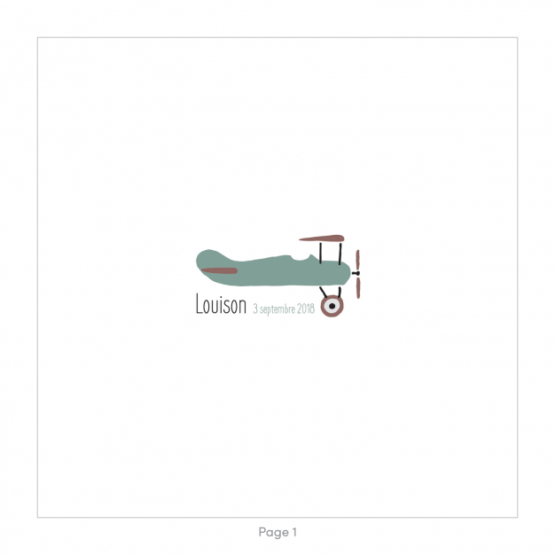 Monsieur Papier - Faire-part naissance Aéroplane