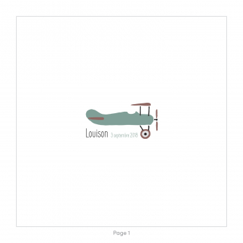 Monsieur Papier - Faire-part naissance Aéroplane