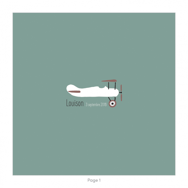 Monsieur Papier - Faire-part naissance Aéroplane
