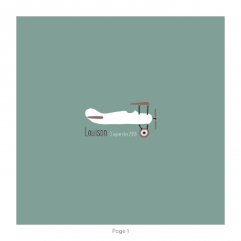 Monsieur Papier - Faire-part naissance Aéroplane