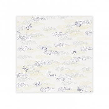 Monsieur Papier - Faire-part naissance Aéroplanes