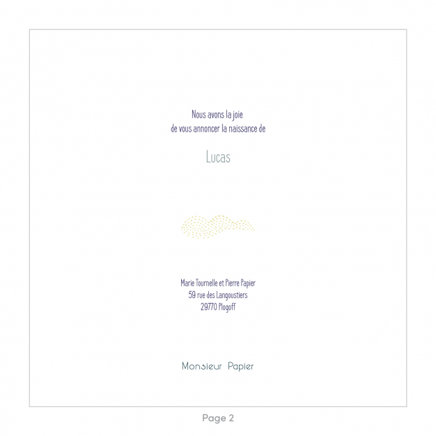 Monsieur Papier - Faire-part naissance Aéroplanes