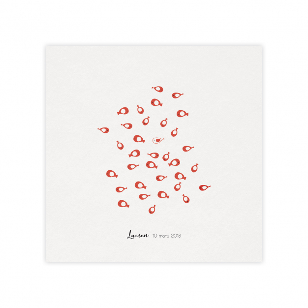 Monsieur Papier - Faire-part naissance Aquarium