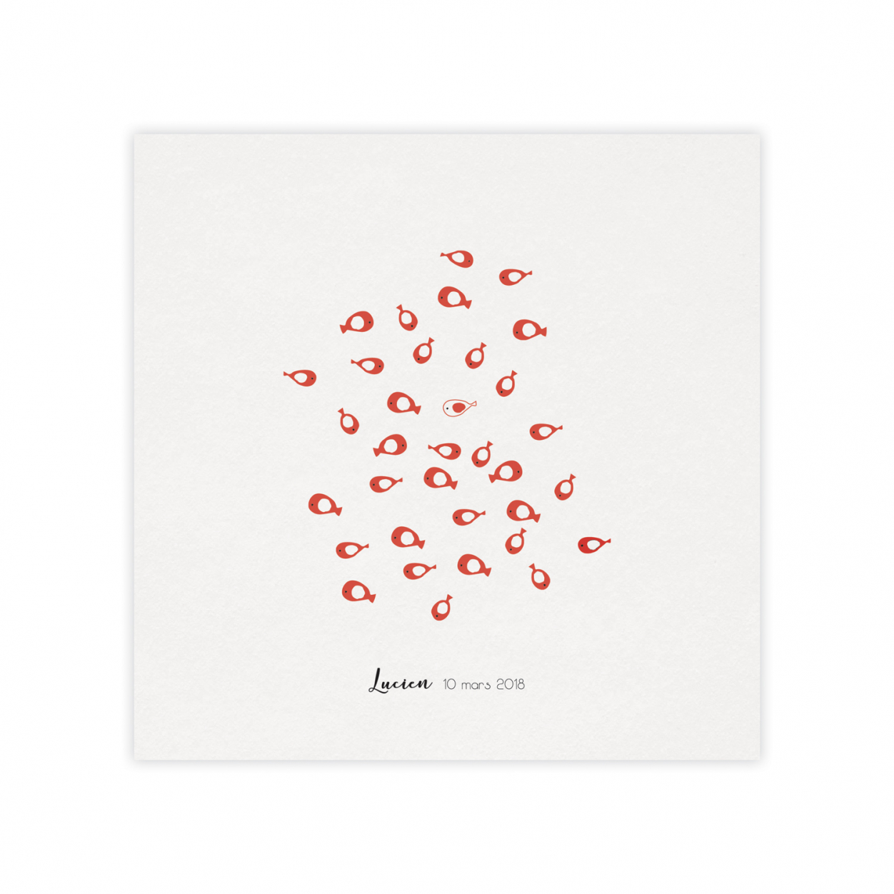 Monsieur Papier - Faire-part naissance Aquarium