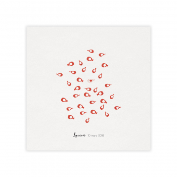 Monsieur Papier - Faire-part naissance Aquarium