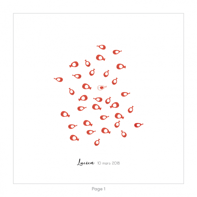 Monsieur Papier - Faire-part naissance Aquarium