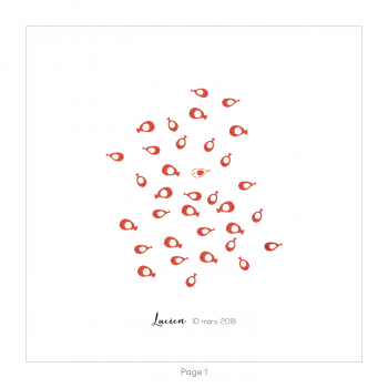 Monsieur Papier - Faire-part naissance Aquarium