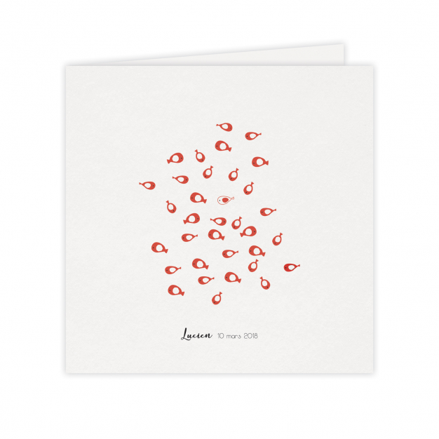 Monsieur Papier - Faire-part naissance Aquarium