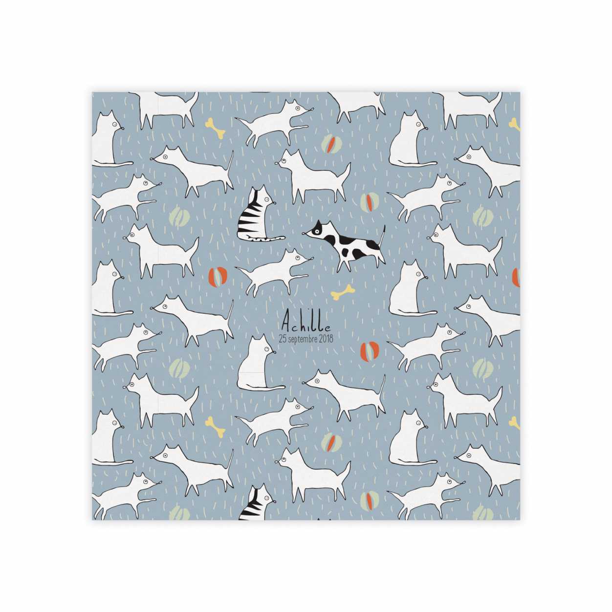 Monsieur Papier - Faire-part naissance Cats and dogs