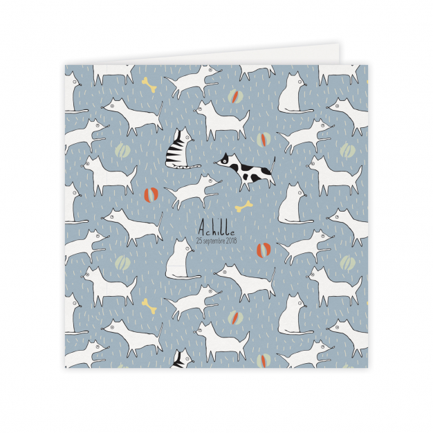 Monsieur Papier - Faire-part naissance Cats and dogs