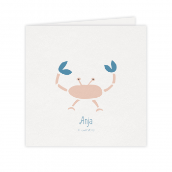 Monsieur Papier - Faire-part naissance Crabe 2