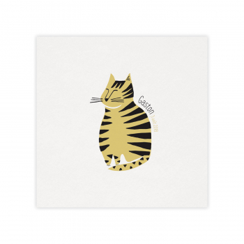 Monsieur Papier - Faire-part naissance Gros chat