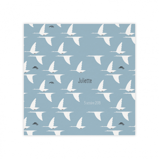 Monsieur Papier - Faire-part naissance Grues