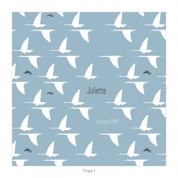 Monsieur Papier - Faire-part naissance Grues