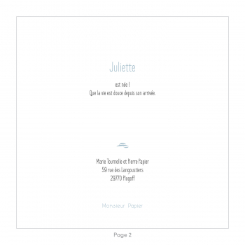 Monsieur Papier - Faire-part naissance Grues