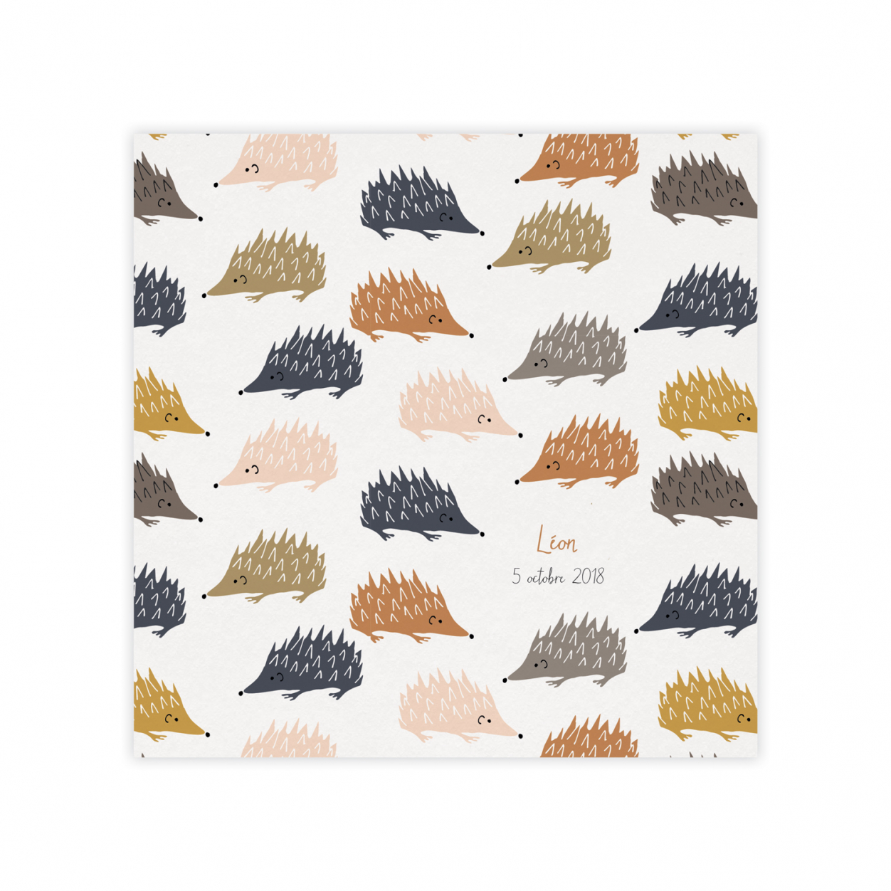 Monsieur Papier - Faire-part naissance Hérissons