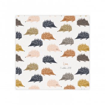 Monsieur Papier - Faire-part naissance Hérissons