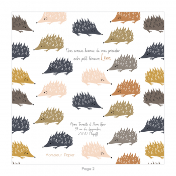 Monsieur Papier - Faire-part naissance Hérissons