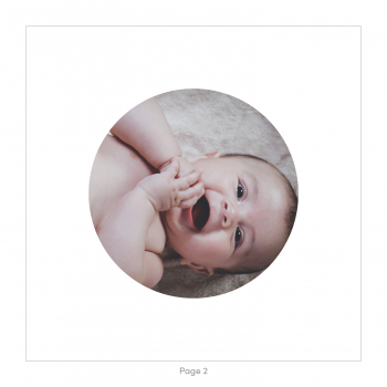 Monsieur Papier - Faire-part naissance Hérissons