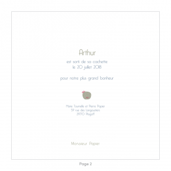 Monsieur Papier - Faire-part naissance Kangourous