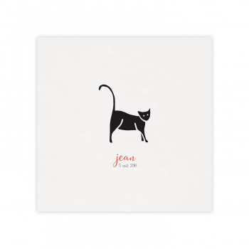 Monsieur Papier - Faire-part naissance Meow