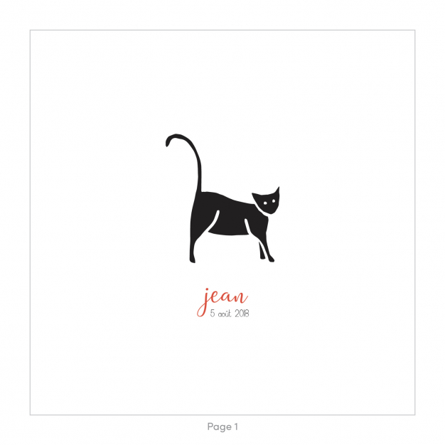 Monsieur Papier - Faire-part naissance Meow
