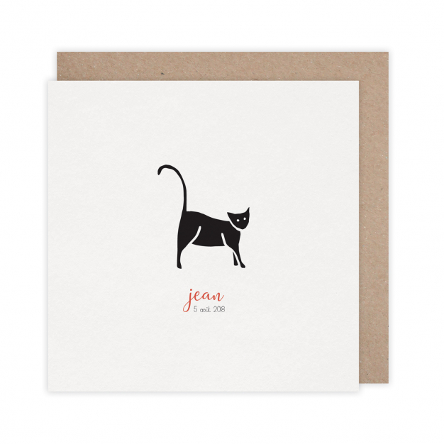 Monsieur Papier - Faire-part naissance Meow