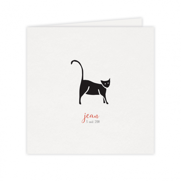 Monsieur Papier - Faire-part naissance Meow