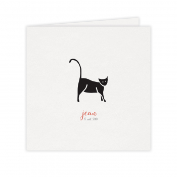 Monsieur Papier - Faire-part naissance Meow