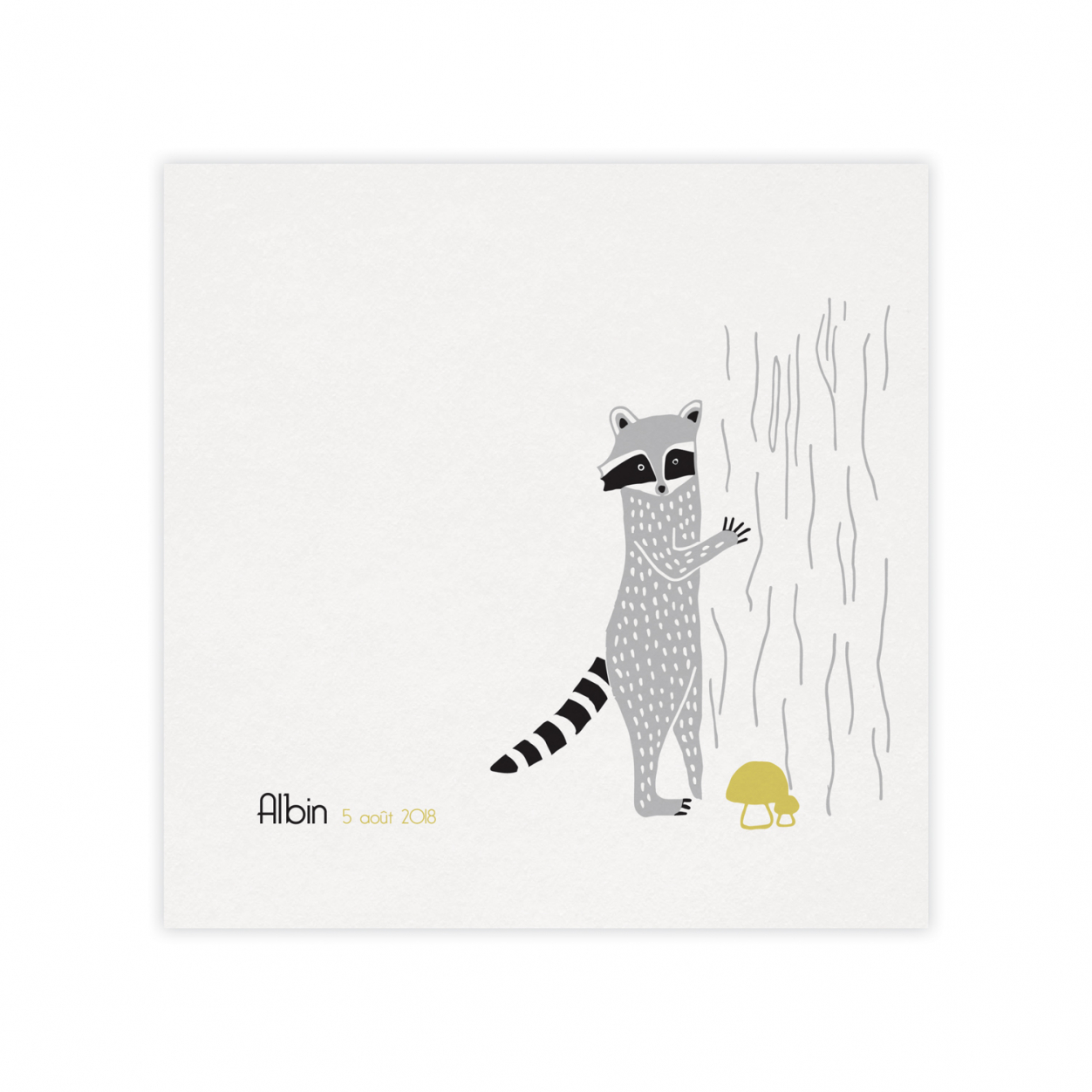 Monsieur Papier - Faire-part naissance Raton laveur 2