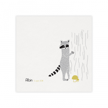 Monsieur Papier - Faire-part naissance Raton laveur 2