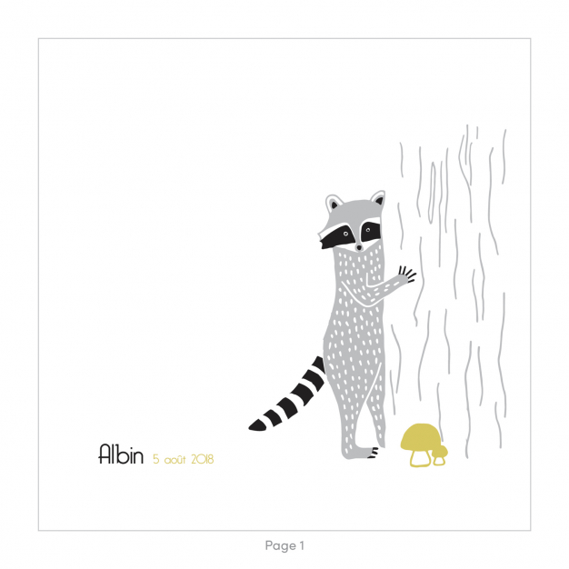 Monsieur Papier - Faire-part naissance Raton laveur 2
