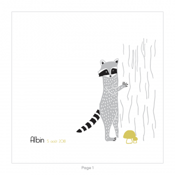 Monsieur Papier - Faire-part naissance Raton laveur 2