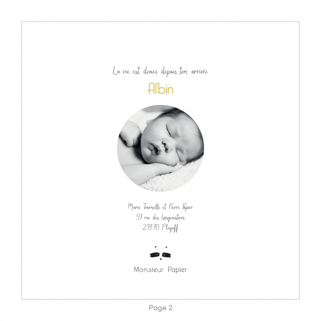Monsieur Papier - Faire-part naissance Raton laveur 2