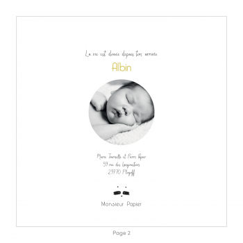 Monsieur Papier - Faire-part naissance Raton laveur 2
