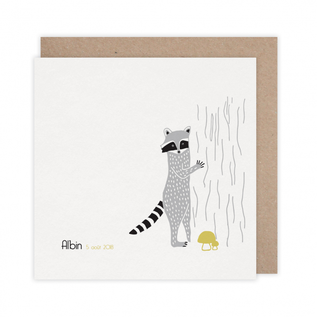 Monsieur Papier - Faire-part naissance Raton laveur 2