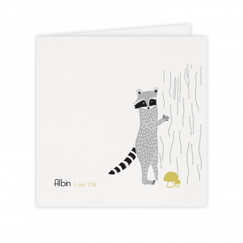 Monsieur Papier - Faire-part naissance Raton laveur 2