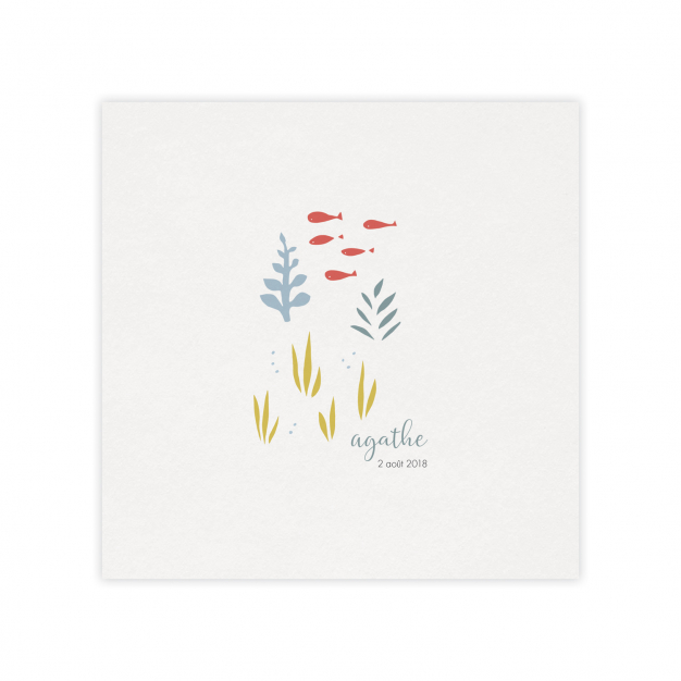 Monsieur Papier - Faire-part naissance Snorkeling