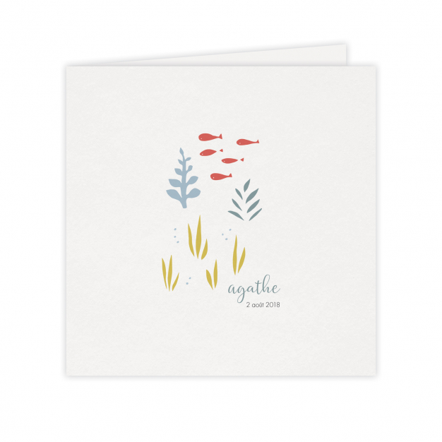 Monsieur Papier - Faire-part naissance Snorkeling