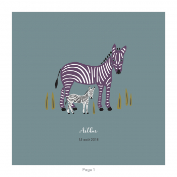 Monsieur Papier - Faire-part naissance Zèbres 2