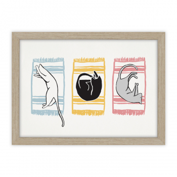 Monsieur Papier - Poster Foutas