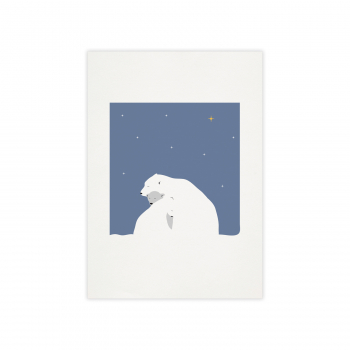 Monsieur Papier - Poster Polaire