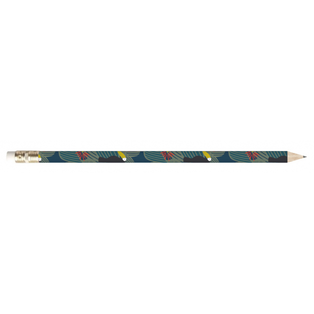 Monsieur Papier – Crayon de papier Toucans