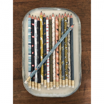 Monsieur Papier - Pencil Aquarium