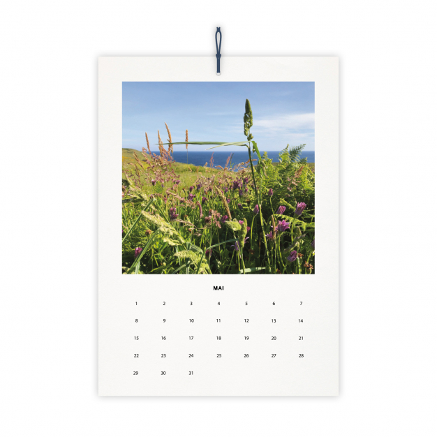 Monsieur Papier - Chez Monsieur Papier calendar