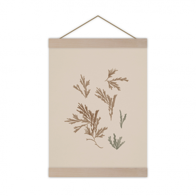 Monsieur Papier - Poster Algae