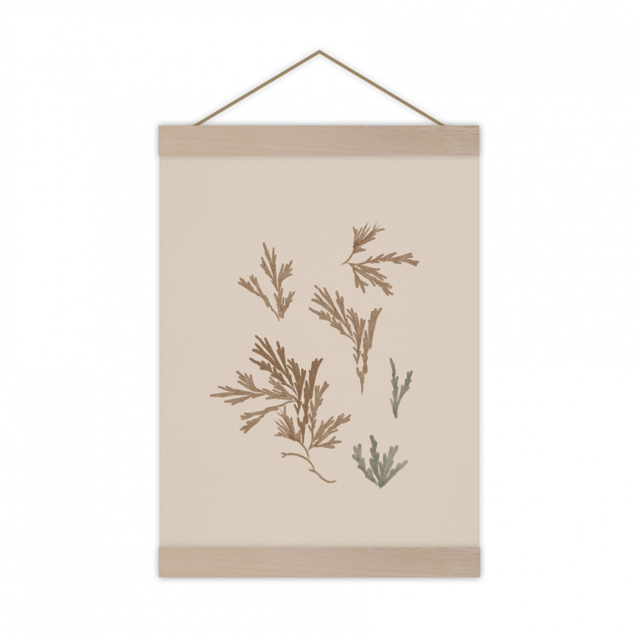 Monsieur Papier - Poster Algae
